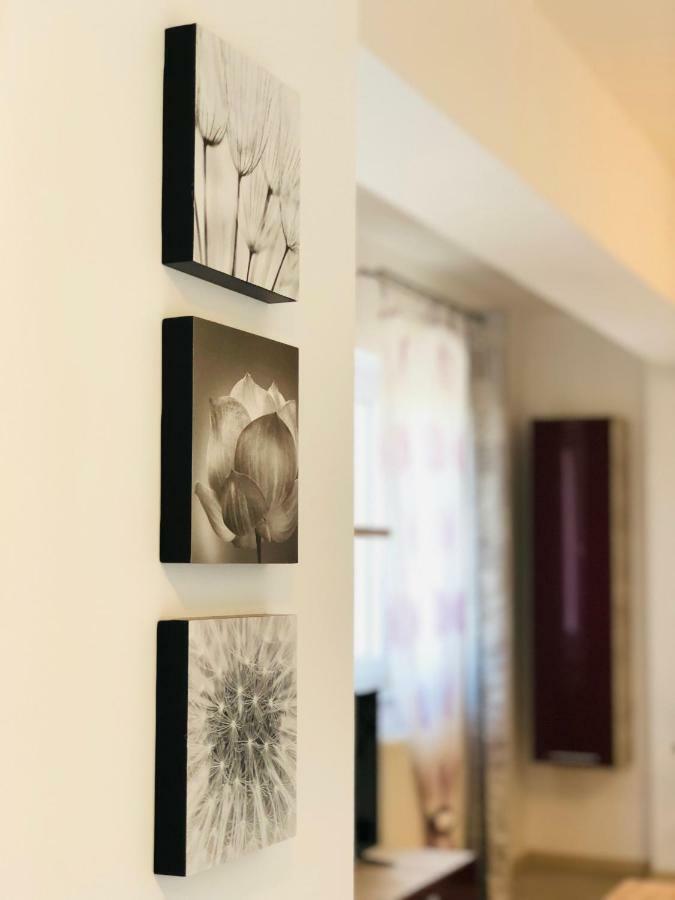 Eme Apartments Brașov Exterior foto